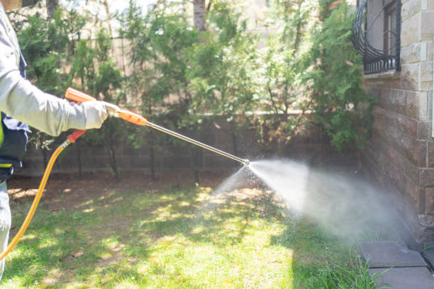 Best Insect Control  in Aledo, TX