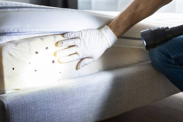 Best Pest Control Cost  in Aledo, TX